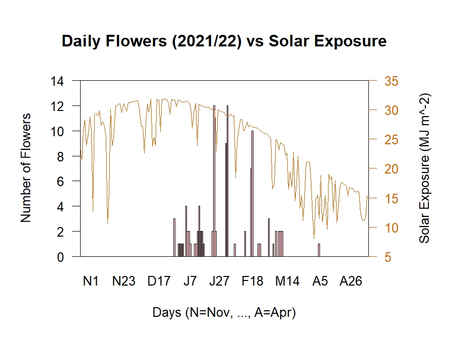 Flowers vs Solar Exposure 2021/22